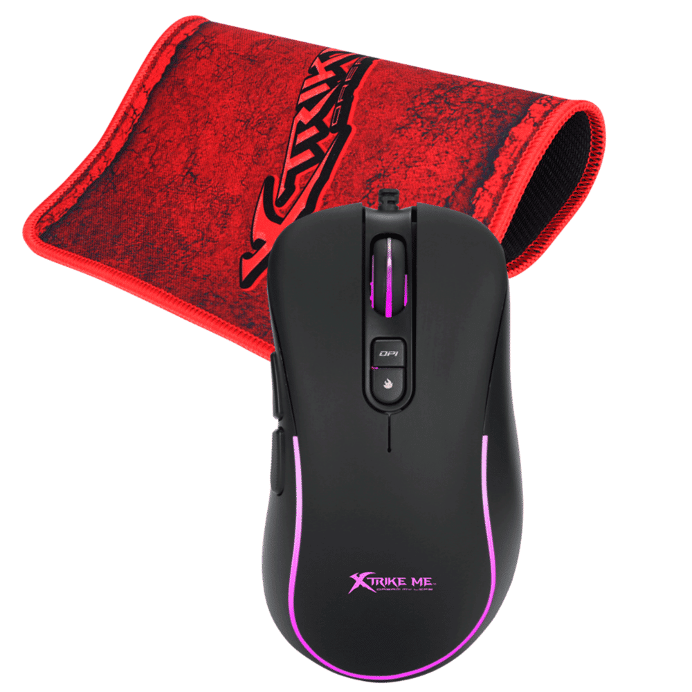 mouse